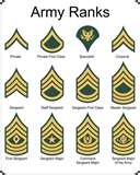 ARMY RANKS RICAMATI